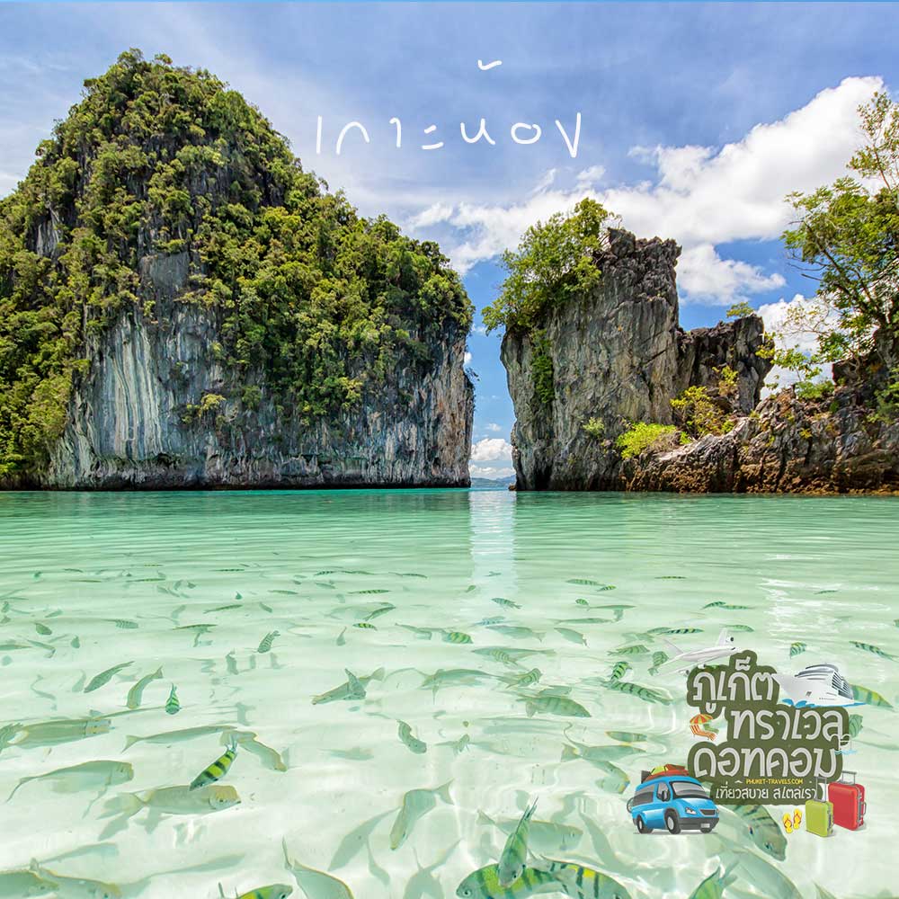 ทัวร์เกาะห้อง เกาะยาวใหญ่ เกาะไข่ ทัวร์เกาะห้อง เกาะยาวใหญ่ เกาะไข่