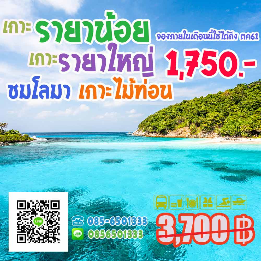ทัวร์เกาะราชาน้อย เกาะราชาใหญ่ ดูโลมาเกาะไม้ท่อน ทัวร์เกาะราชาน้อย เกาะราชาใหญ่ ดูโลมาเกาะไม้ท่อน