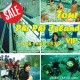 ทัวร์เกาะพีพีเรือเฟอรรี่ VIP ทัวร์เกาะพีพีเรือเฟอรรี่ VIP
