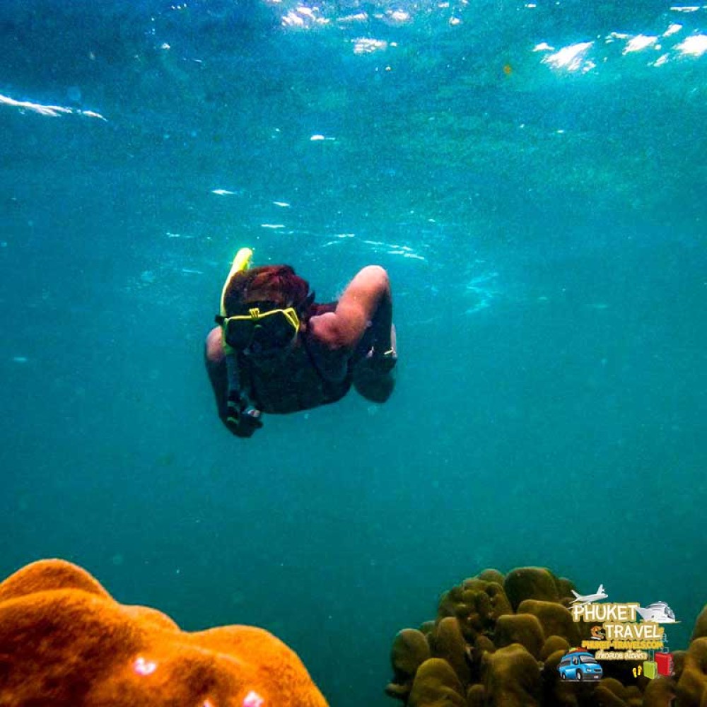 ทัวร์เกาะไข่ เรือยอร์ช คาตามารัน ทัวร์เกาะไข่ เรือยอร์ช คาตามารัน