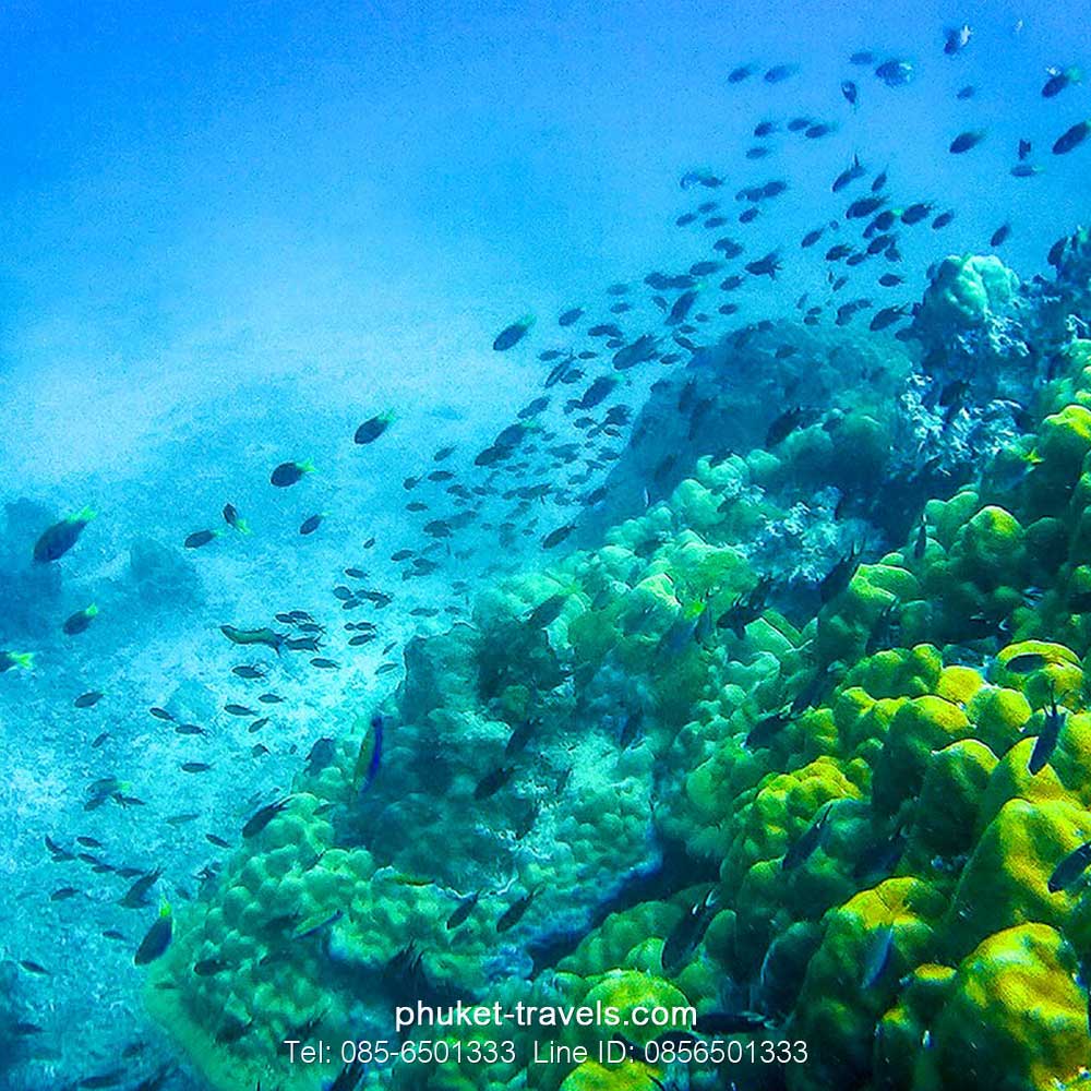 ทัวร์เกาะไม้ท่อน เรือยอร์ชคาตามารันชมพระอาทิตย์ตก ทัวร์เกาะไม้ท่อน เรือยอร์ชคาตามารันชมพระอาทิตย์ตก