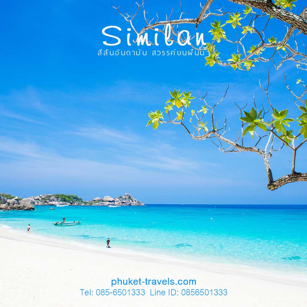 ทัวร์สิมิลัน SeaStar ราคาถูก ทัวร์สิมิลัน SeaStar ราคาถูก