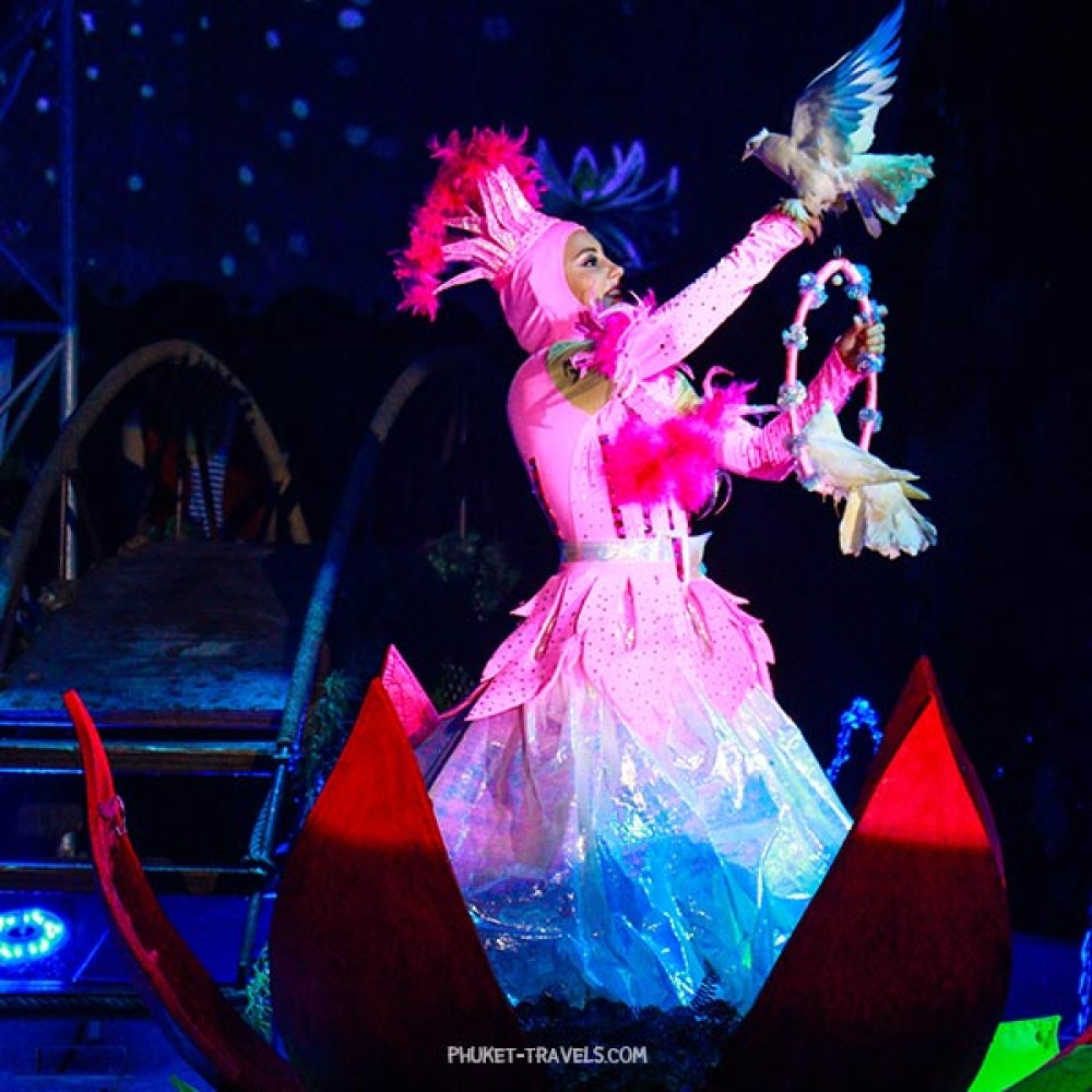 Aqua Circus Phuket