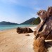หมู่เกาะสุรินทร์