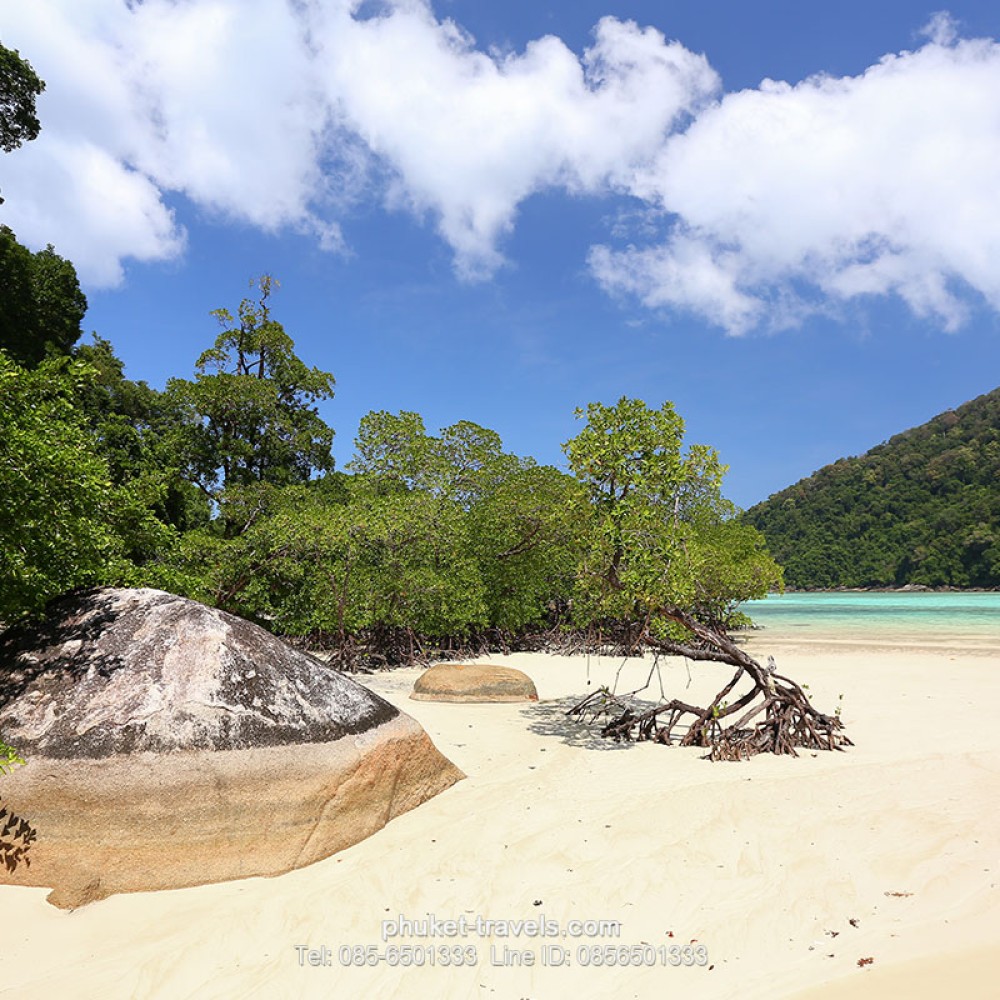 หมู่เกาะสุรินทร์ หมู่เกาะสุรินทร์