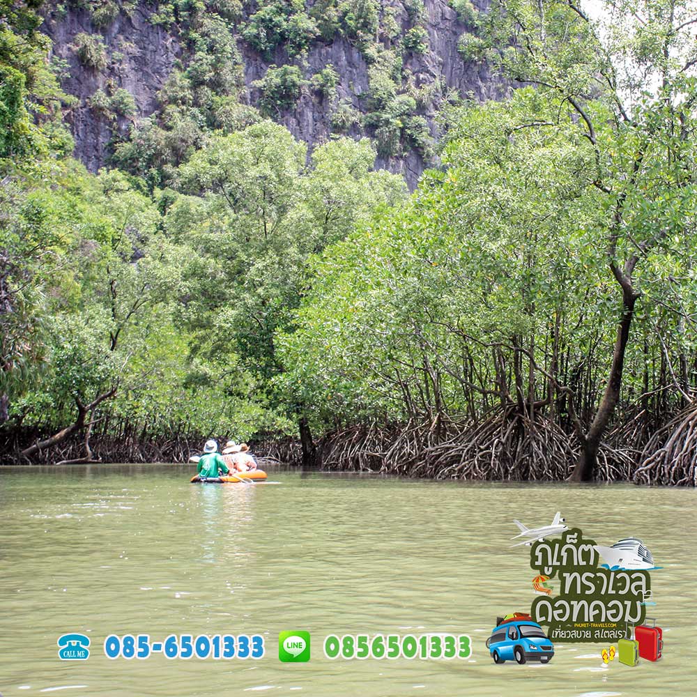 ทัวร์ล่องอ่าวพังงา ทัวร์ล่องอ่าวพังงา
