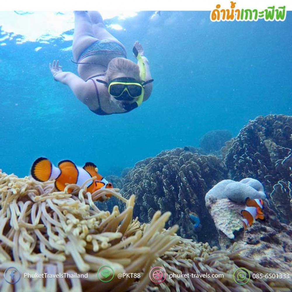 เกาะพีพี อ่าวมาหยา เกาะไข่ เรือสปีดคาตามารัน เกาะพีพี อ่าวมาหยา เกาะไข่ เรือสปีดคาตามารัน