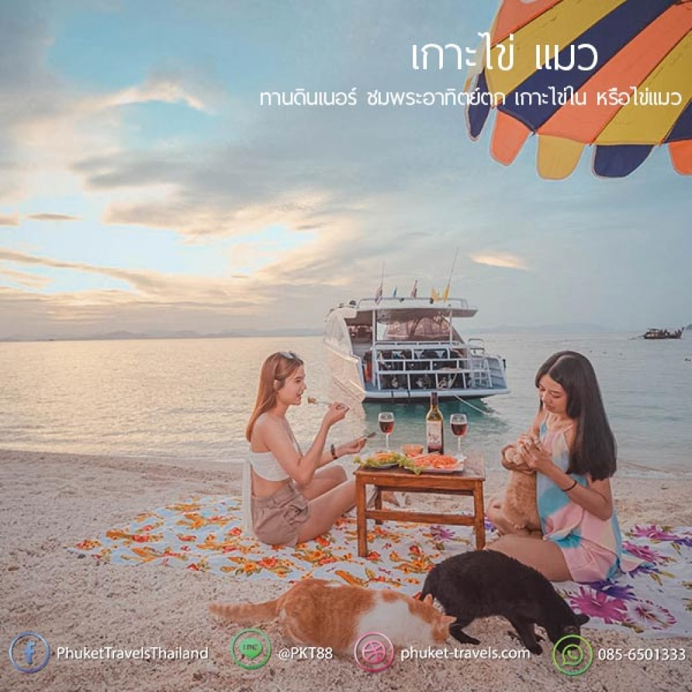ทัวร์เกาะพีพี อ่าวมาหยา ปิเละ เกาะไข่แมว ครึ่งวัน ทัวร์เกาะพีพี อ่าวมาหยา ปิเละ เกาะไข่แมว ครึ่งวัน