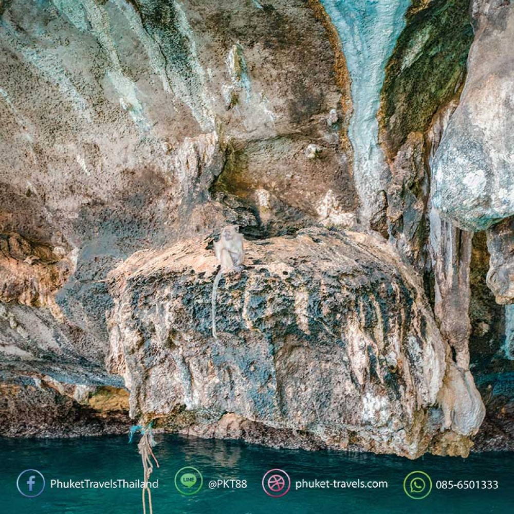 ทัวร์เกาะพีพี อ่าวปิเล๊ะ เกาะไข่ ทัวร์เกาะพีพี อ่าวปิเล๊ะ เกาะไข่