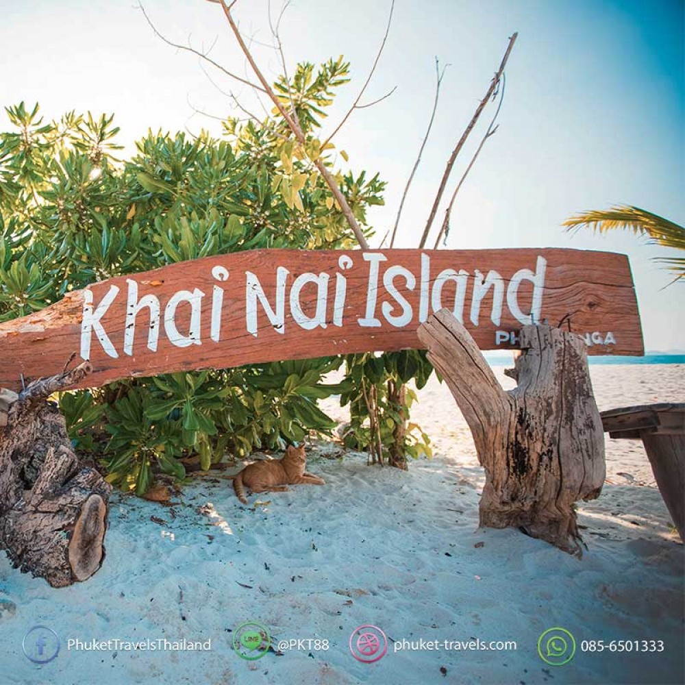 ทัวร์เกาะพีพี อ่าวปิเล๊ะ เกาะไข่ ทัวร์เกาะพีพี อ่าวปิเล๊ะ เกาะไข่
