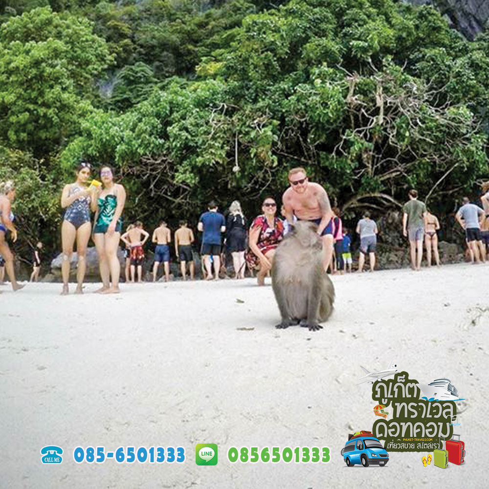 ทัวร์เกาะพีพี เกาะไม้ท่อน เกาะไข่ ราคาถูก ทัวร์เกาะพีพี เกาะไม้ท่อน เกาะไข่ ราคาถูก