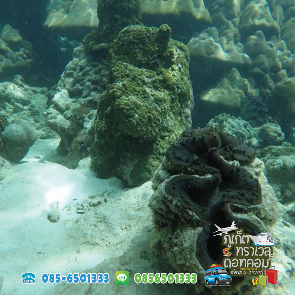 ทัวร์เกาะพีพี เกาะไม้ท่อน เกาะไข่ ราคาถูก ทัวร์เกาะพีพี เกาะไม้ท่อน เกาะไข่ ราคาถูก