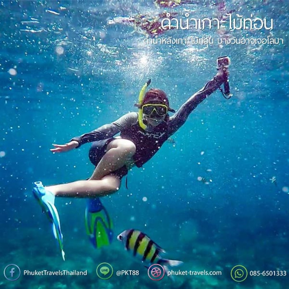 ทัวร์พีพี อ่าวมาหยา วิวพ้อย เกาะไข่ ทัวร์พีพี อ่าวมาหยา วิวพ้อย เกาะไข่