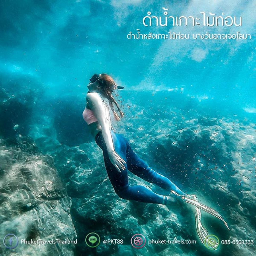 ทัวร์พีพี อ่าวมาหยา วิวพ้อย เกาะไข่ ทัวร์พีพี อ่าวมาหยา วิวพ้อย เกาะไข่