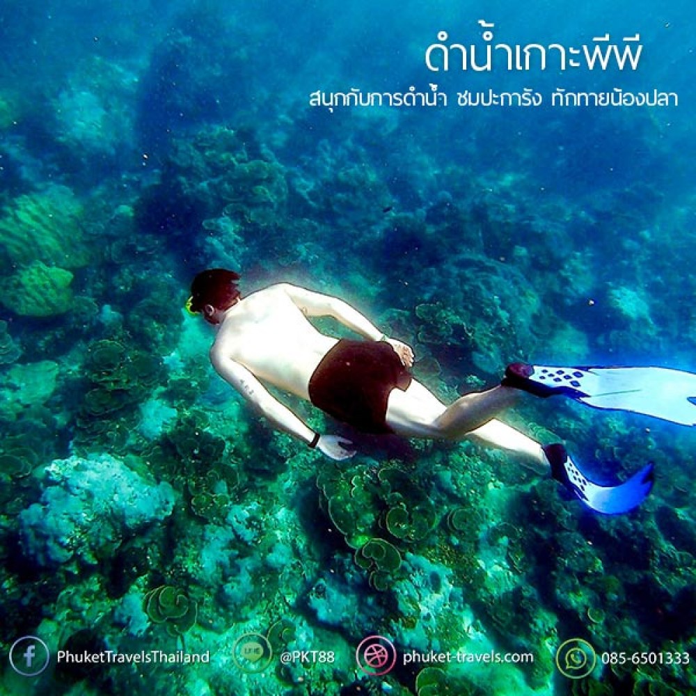 ทัวร์พีพี อ่าวมาหยา วิวพ้อย เกาะไข่ ทัวร์พีพี อ่าวมาหยา วิวพ้อย เกาะไข่