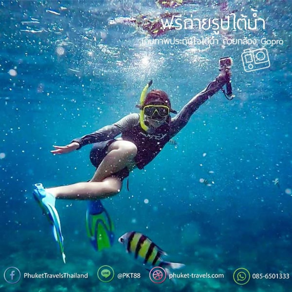 ทัวร์พีพี อ่าวมาหยา วิวพ้อย เกาะไข่ ทัวร์พีพี อ่าวมาหยา วิวพ้อย เกาะไข่