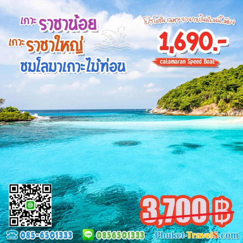 ทัวร์เกาะราชาน้อย เกาะราชาใหญ่ ดูโลมาเกาะไม้ท่อน ทัวร์เกาะราชาน้อย เกาะราชาใหญ่ ดูโลมาเกาะไม้ท่อน