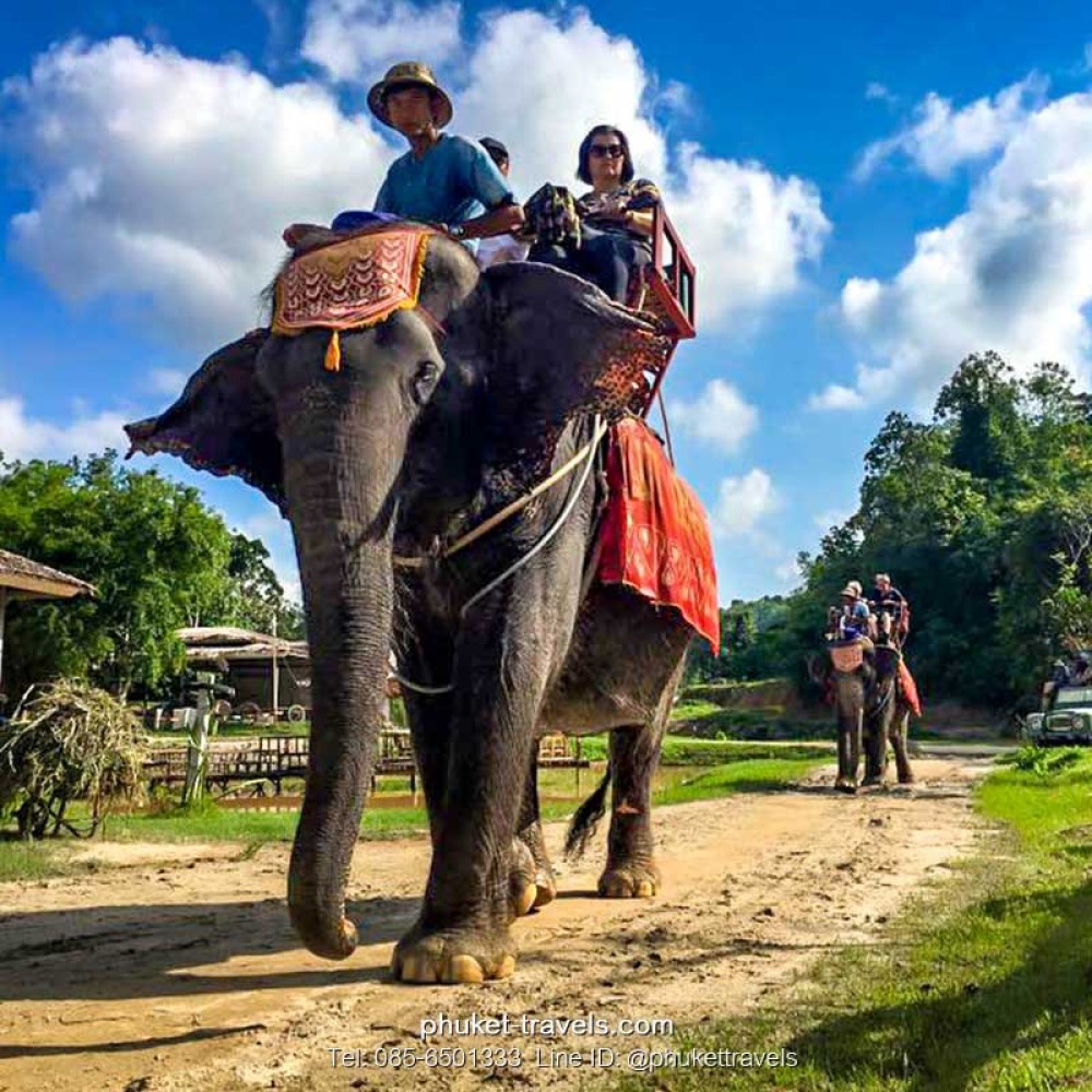 ซาฟารีทัวร์ EcoSafari