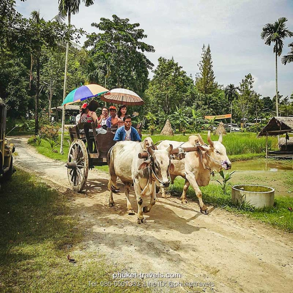 ซาฟารีทัวร์ EcoSafari