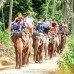 ซาฟารีทัวร์ EcoSafari