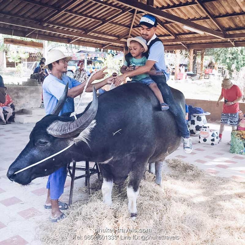 ซาฟารีทัวร์ EcoSafari